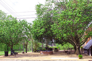 Kremser Plaza, a small contemplation park in dowtown Clarksdale Arts & Culture District