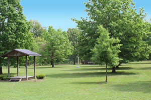 Soldiers Field: American Legion Veterans Memorial Park, Clarksdale, MS