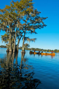 The Quapaw Canoe Company.