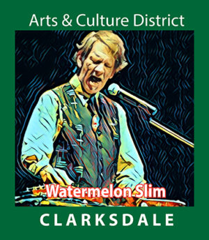 Current Clarksdale blues performer, Watermelon Slim.