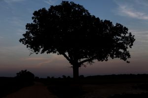 Mississippi Delta Light, a Clarksdale photo story by Art Minton.