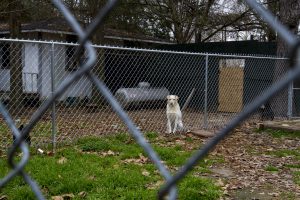 Malcomb Mabrey, a Clarksdale photo story by Diane Orr.