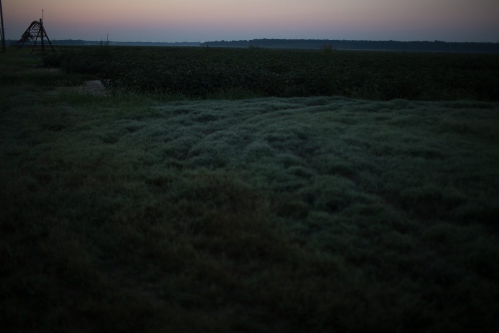 Jonestown, a Clarksdale photo story by Jess Bollaert.