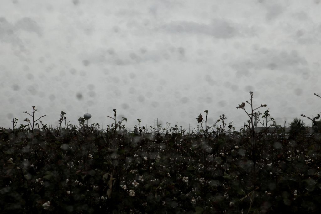 Farther Along, a Clarksdale photo story by Lisa Refailov.