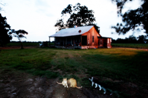 Mississippi Delta Light, a Clarksdale story from Barefoot Workshops.