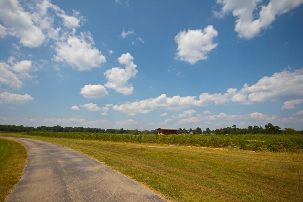 From Farm to Table, a Clarksdale photo story by Sarah Puleo.