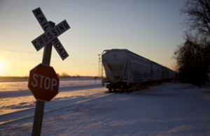 Drive By Shooting, a Clarksdale story from Barefoot Workshops.