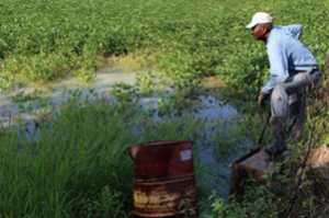 The Farmer, a Clarksdale story from Barefoot Workshops.